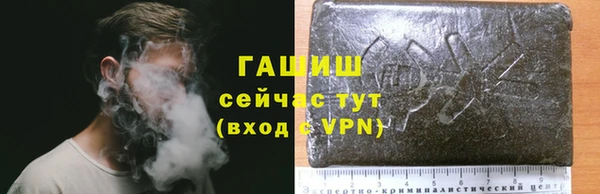 PSILOCYBIN Алзамай