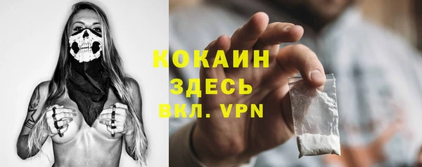 spice Алексин