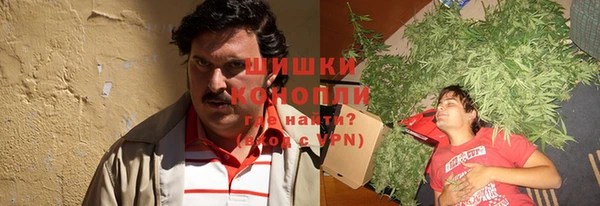 PSILOCYBIN Алзамай
