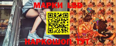 скорость Кингисепп