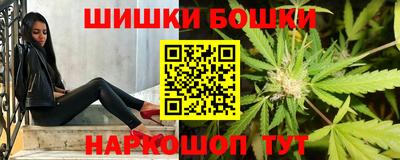 скорость Кингисепп