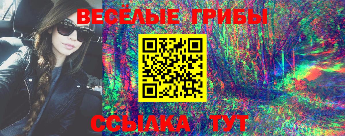Псилоцибиновые грибы Magic Shrooms  Вход с VPN  цена наркотик  Лесной 