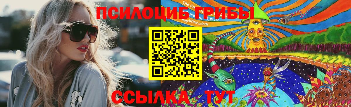 Псилоцибиновые грибы мицелий Лесной